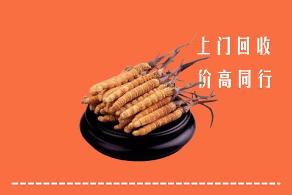 高价求购：通江县回收散虫草