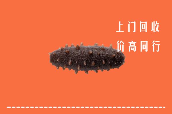 通江县回收海参