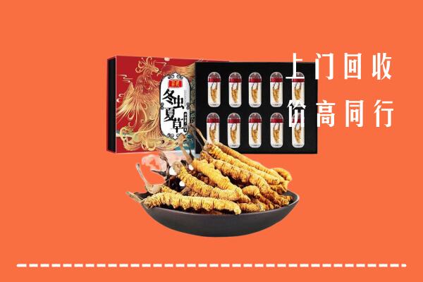 通江县回收虫草